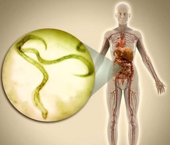 Parásitos no corpo humano