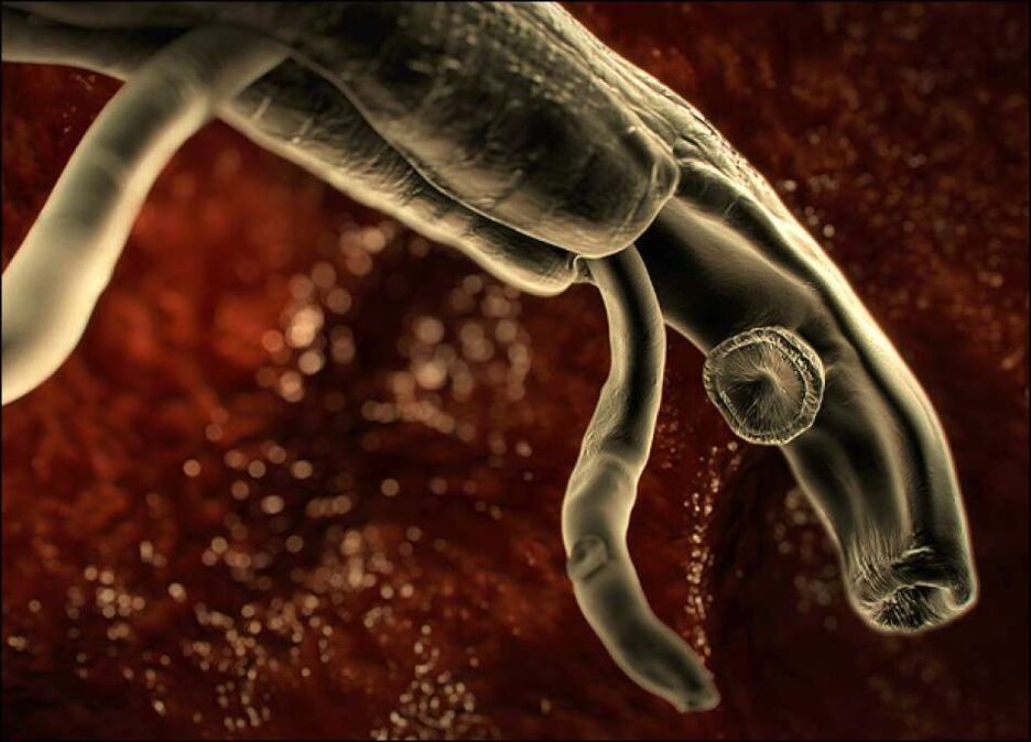 parasitos dentro do corpo humano