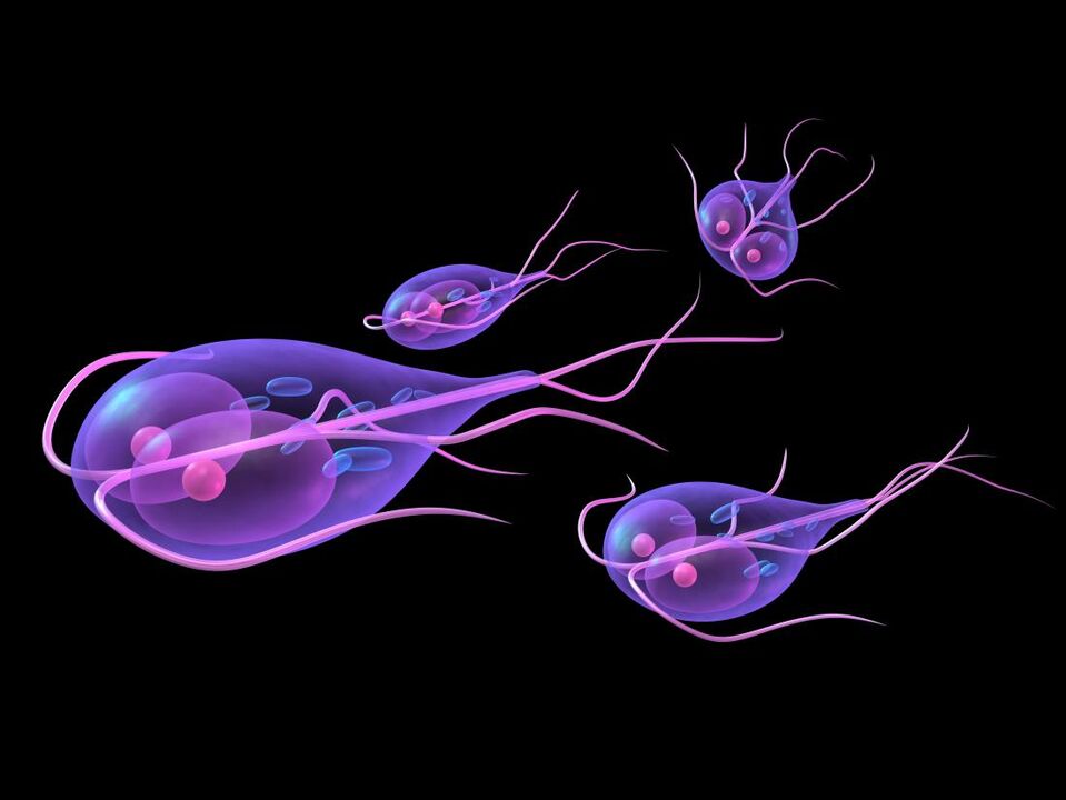 Giardia do corpo humano