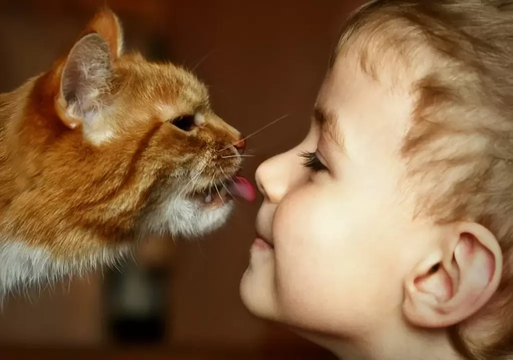 un neno bica un gato e inféctase de vermes